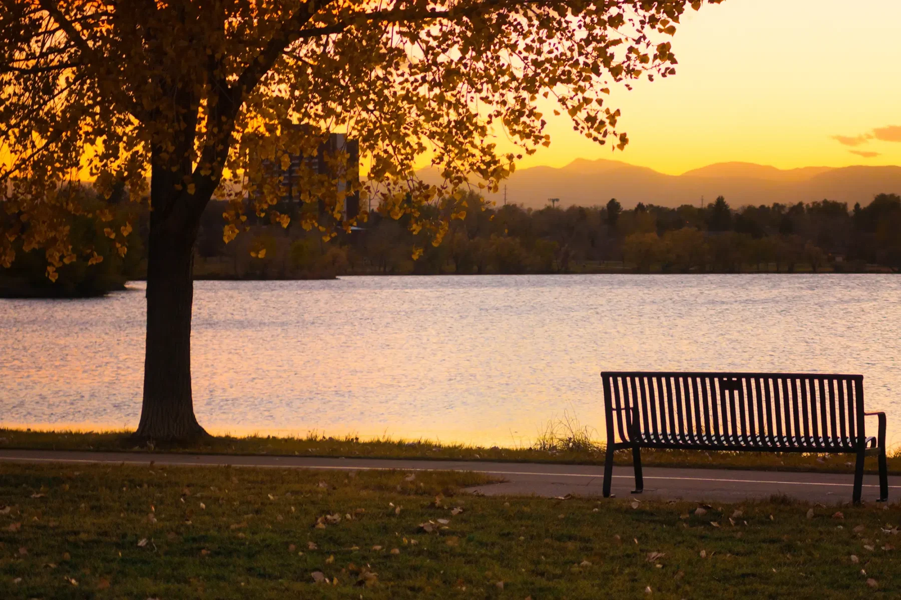 Park bench overlooking water at dusk