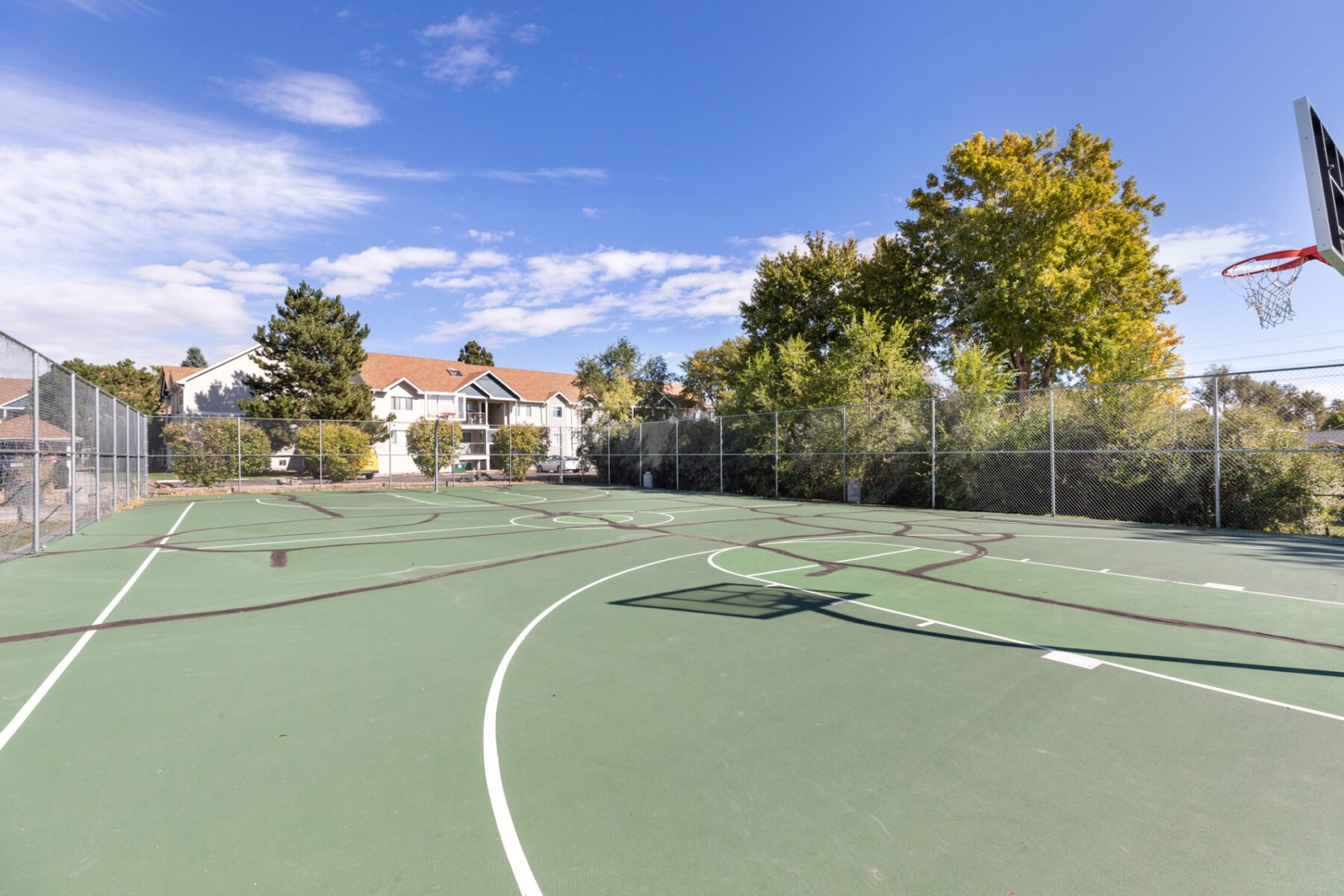 Basketball court