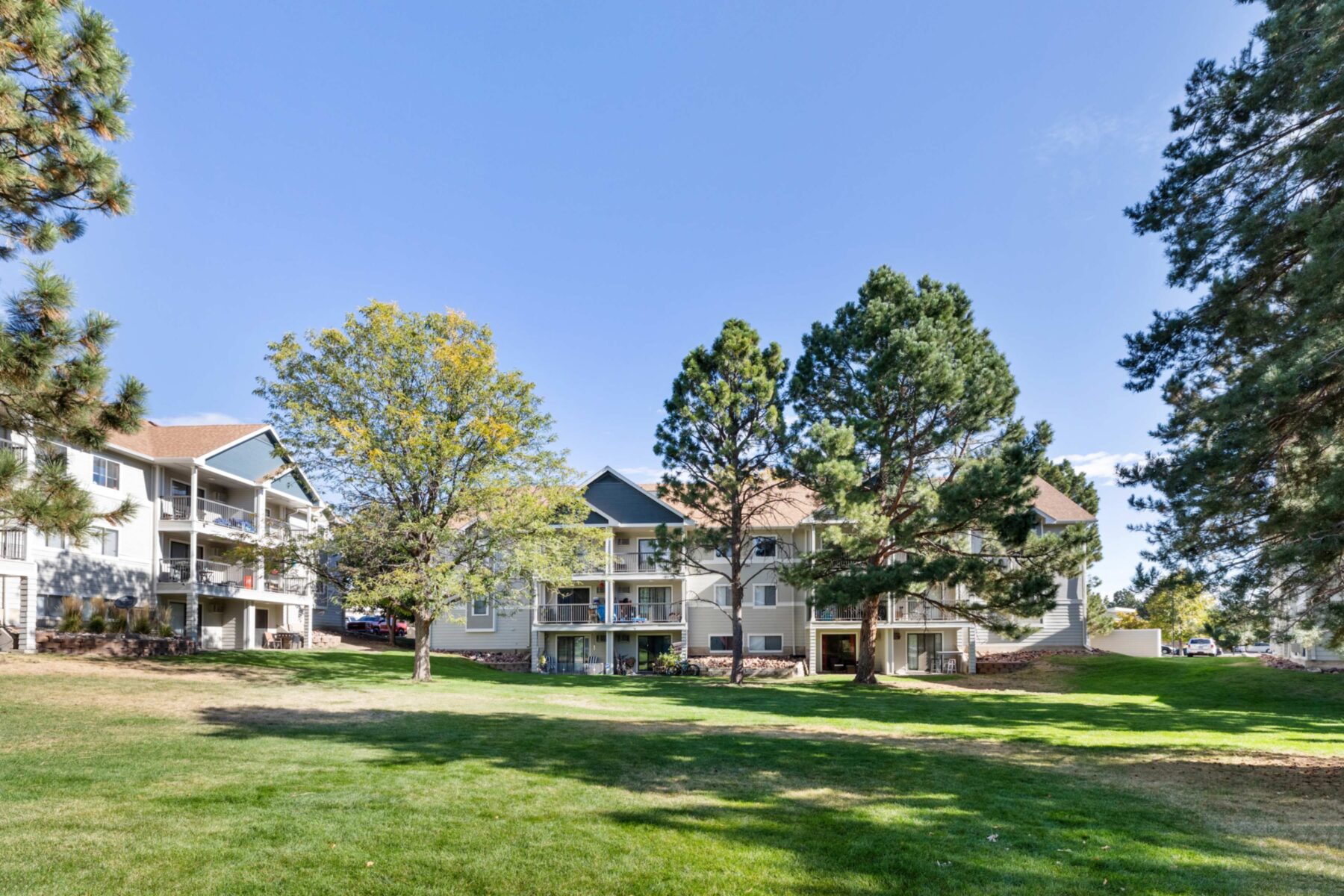 Building exterior with large trees and open field